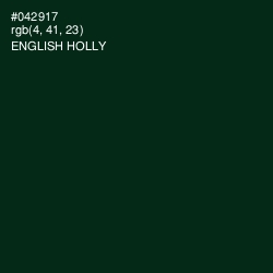 #042917 - English Holly Color Image